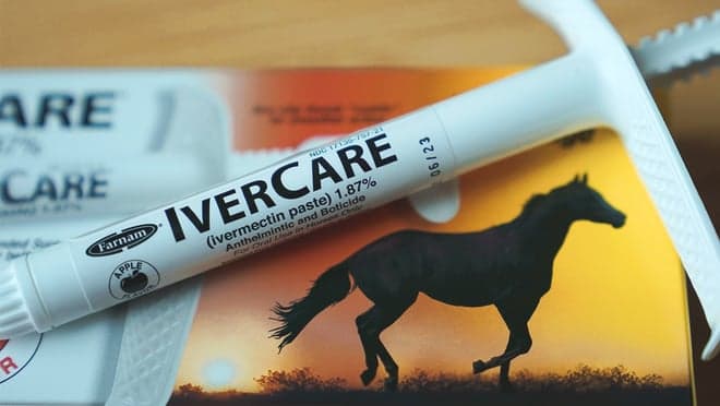 Poison control calls have jumped 880% for the “horse dewormer” drug ivermectin. Yes, it’s FDA-approved for humans—to treat parasitic worms. No, it’s not effective against COVID, according to the latest clinical trial data.