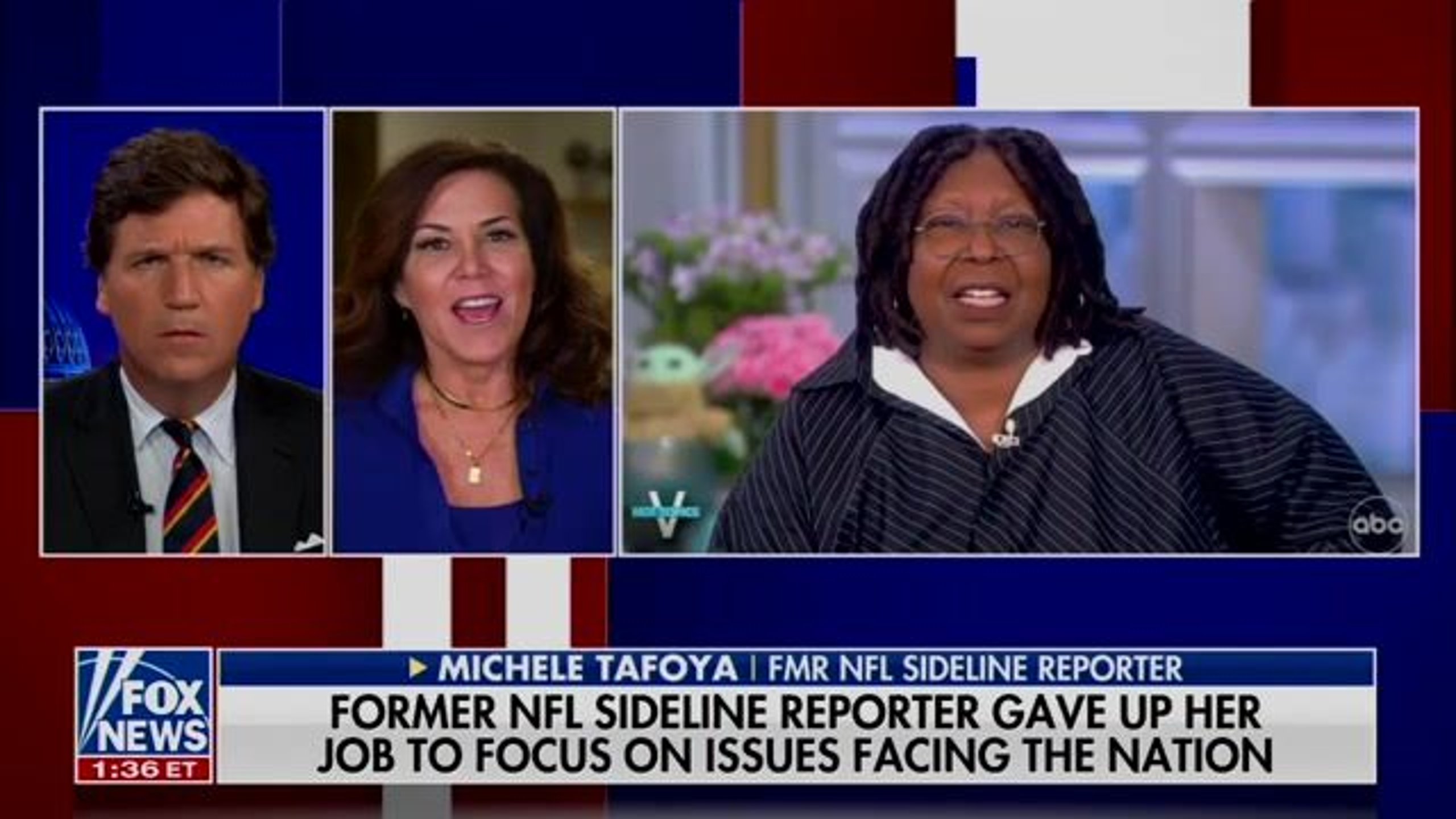 Ex-NFL Reporter Michele Tafoya Appears On Fox News - The Spun